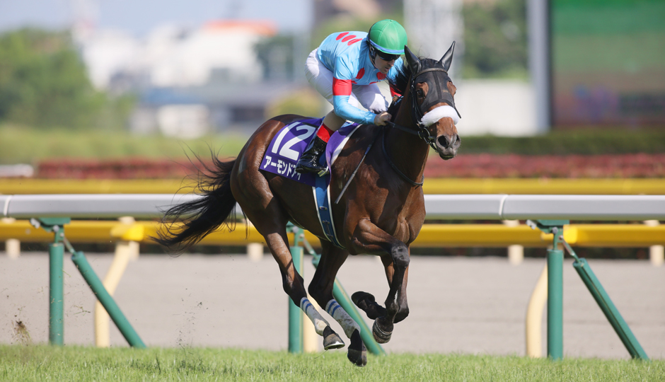 05月16日 第16回 ヴィクトリアマイル（GⅠ）電脳競馬新聞予想情報