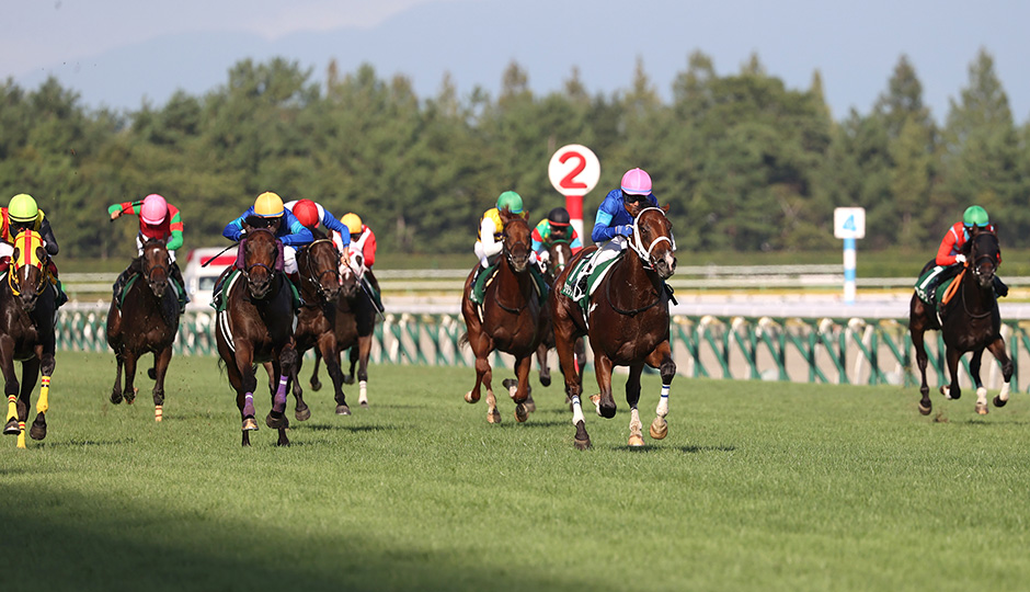 08月29日 第41回 新潟2歳ステークス（GⅢ）電脳競馬新聞予想情報