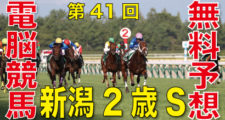 08月29日-第41回-新潟2歳ステークス（GⅢ）電脳競馬新聞無料予想