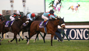 11月28日 第41回 ジャパンカップ（GⅠ）電脳競馬新聞予想情報