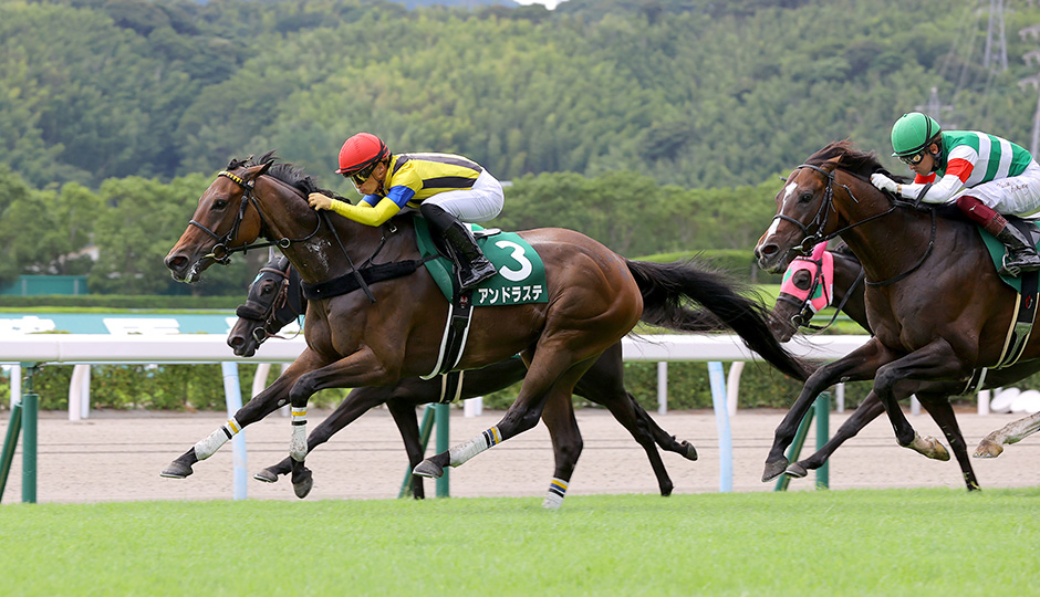 07月24日 第70回 中京記念（GⅢ）電脳競馬新聞予想情報