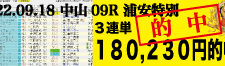 2022年09月18日-中山09R-浦安特別-電脳競馬新聞-3連単180,230円的中!!バナー