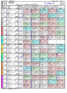 第83回 菊花賞（aGⅠ）ー電脳競馬新聞pdf_page-0001