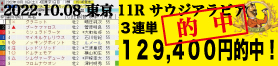 2022年10月08日 東京11R サウジアラビアRC 電脳競馬新聞 3連単129,400円的中!!