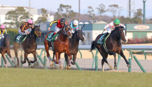 01月08日 第57回 シンザン記念（GⅢ）電脳競馬新聞予想情報
