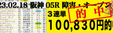 2023年02月18日-阪神05R-障害・オープン-電脳競馬新聞-3連単100,830円的中!!バナー