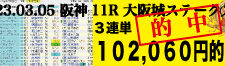 2023年03月05日-阪神11R-大阪城ステークス-電脳競馬新聞-3連単102,060円的中!!バナー