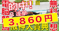 03月19日-第71回-阪神大賞典（GⅡ）電脳競馬新聞無料予想的中！