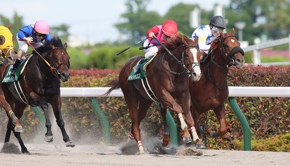 06月18日 第28回 ユニコーンステークス（GⅢ）電脳競馬新聞予想情報