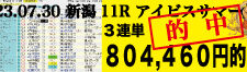 2023年07月30日-新潟11R-アイビスサマーダッシュ-電脳競馬新聞-3連単804,460円的中!!バナー