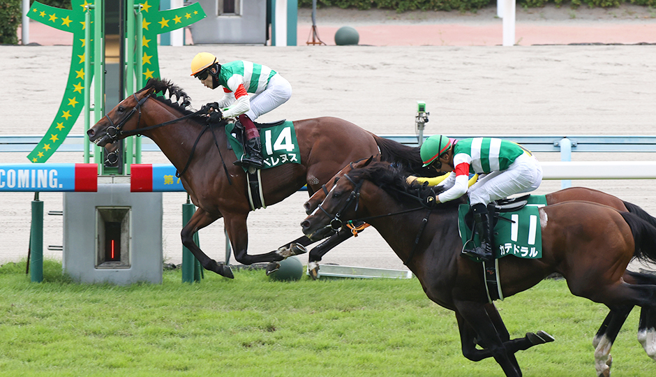 07月23日 第71回 中京記念（GⅢ）電脳競馬新聞予想情報