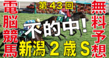 08月27日-第43回-新潟2歳ステークス（GⅢ）電脳競馬新聞無料予想不的中