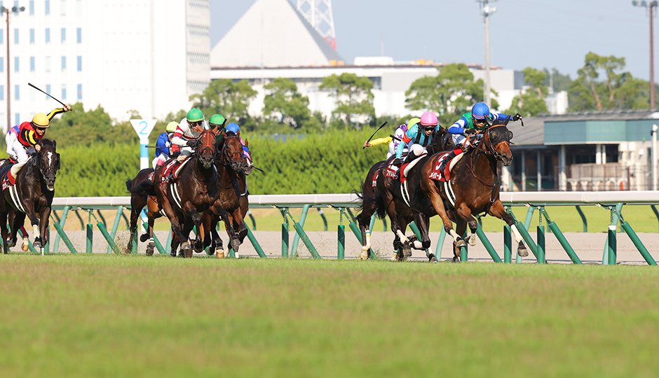 09月10日 第37回 セントウルステークス（GⅡ）電脳競馬新聞予想情報