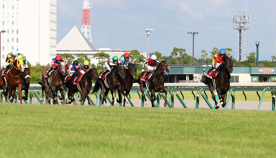 09月24日 第71回 神戸新聞杯（GⅡ）電脳競馬新聞予想情報