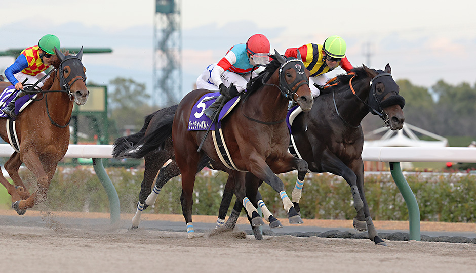 12月03日 第24回 チャンピオンズカップ（GⅠ）電脳競馬新聞予想情報