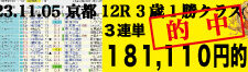 2023年11月05日-京都12R-3歳以上1勝クラス-電脳競馬新聞-3連単181,110円的中!!バナー