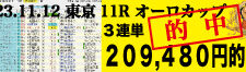 2023年11月12日-東京11R-オーロカップ-電脳競馬新聞-3連単209,480円的中!!バナー