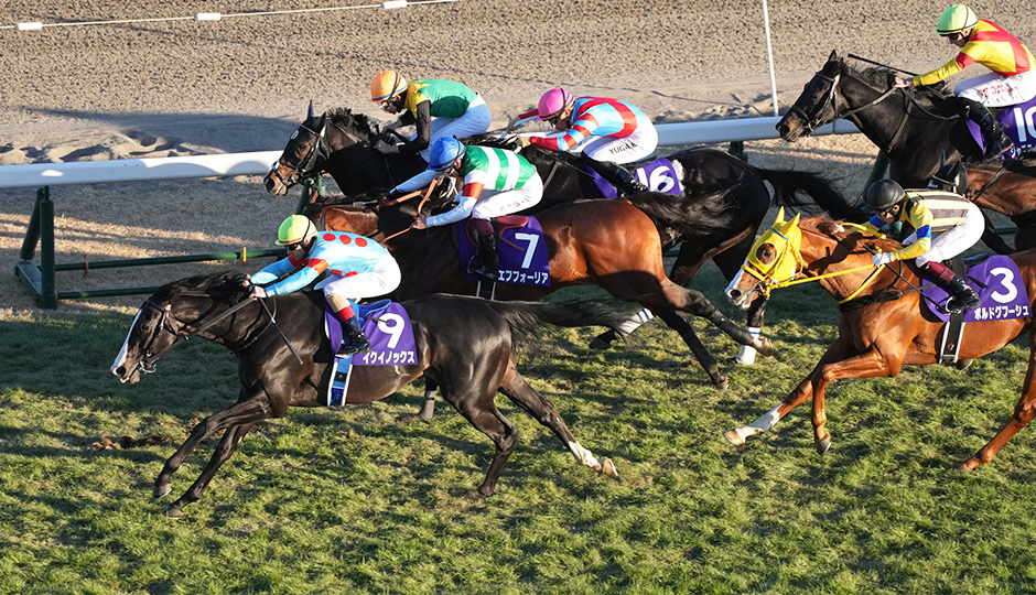 12月24日 第68回 有馬記念（GⅠ）電脳競馬新聞予想情報