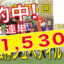 12月10日-第75回-阪神ジュベナイルフィリーズ（GⅠ）電脳競馬新聞無料予想万馬券的中！