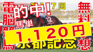 02月11日-第117回-京都記念（GⅡ）電脳競馬新聞無料予想的中！