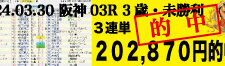 2024年03月30日-阪神03R-3歳未勝利-電脳競馬新聞-3連単202,870円的中!!バナー