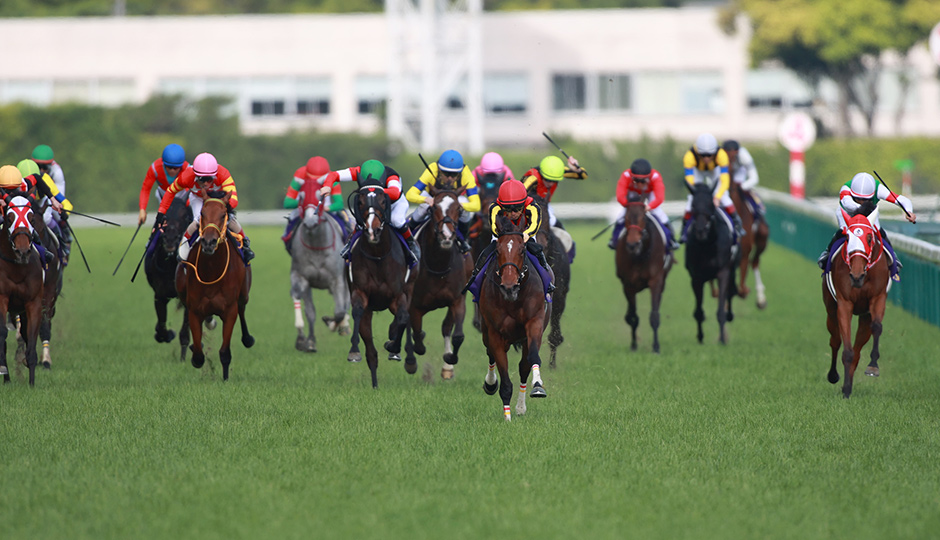 05月19日 第85回 オークス 優駿牝馬（GⅠ）電脳競馬新聞予想情報