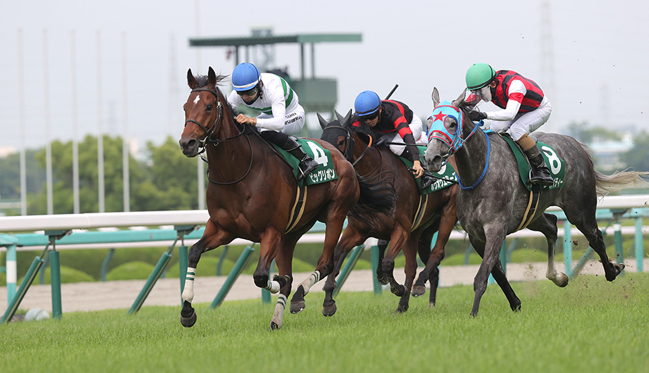 06月16日 第29回 マーメイドステークス（GⅢ）電脳競馬新聞予想情報