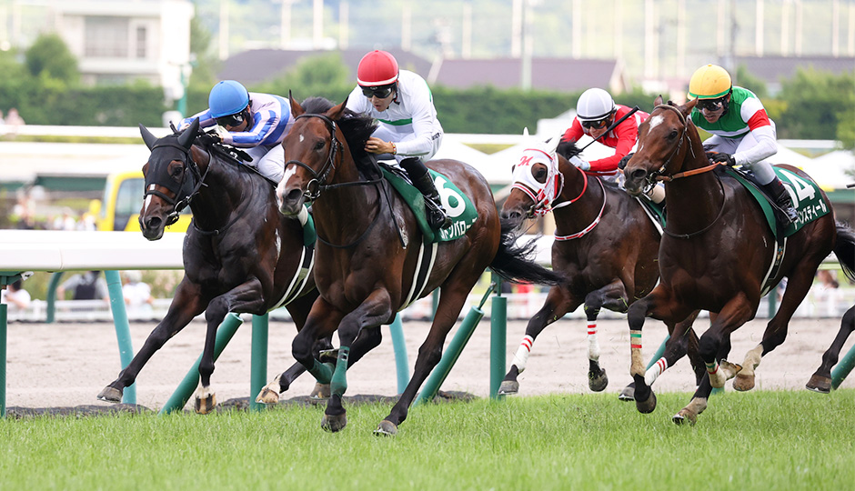 06月30日 第73回 ラジオNIKKEI賞（GⅢ）電脳競馬新聞予想情報