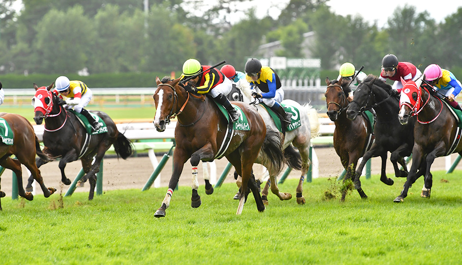 第60回 函館記念（GⅢ）,函館競馬場,電脳競馬新聞、競馬新聞,競馬予想,メインレース