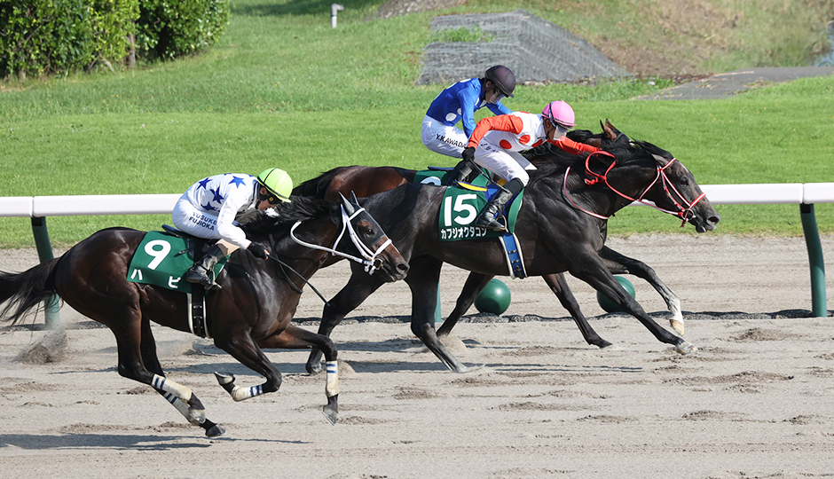 08月04日 第16回 レパードステークス（GⅢ）電脳競馬新聞予想情報