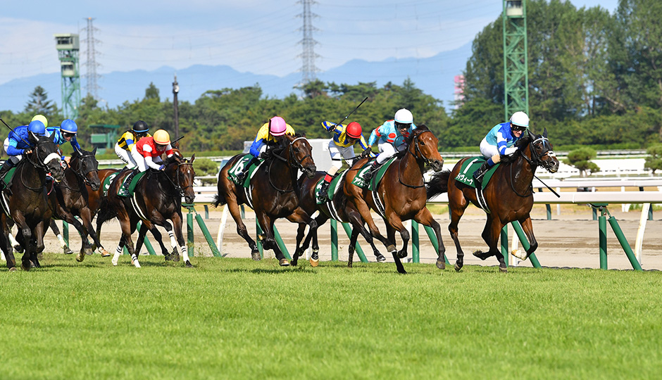 08月11日 第59回 関屋記念（GⅢ）電脳競馬新聞予想情報