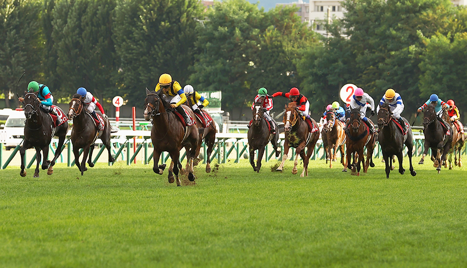 08月18日 第60回 札幌記念（ＧⅡ）電脳競馬新聞予想情報