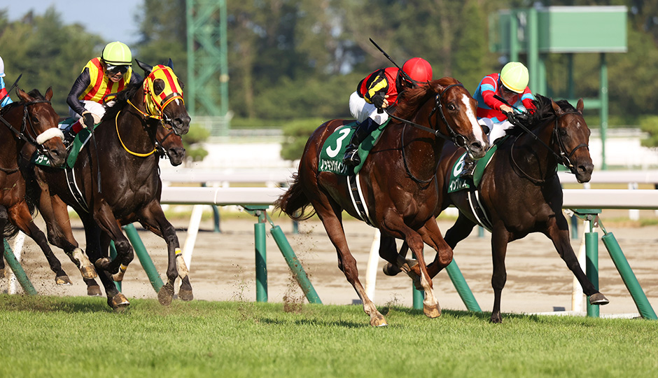 第60回 新潟記念（GⅢ）,新潟競馬場,電脳競馬新聞、競馬新聞,競馬予想,メインレース