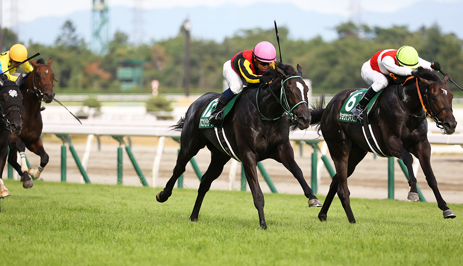 08月25日 第44回 新潟2歳ステークス（GⅢ）電脳競馬新聞予想情報