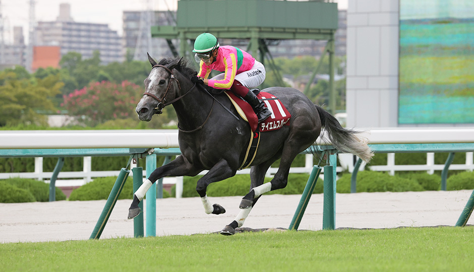 09月08日 第38回 セントウルステークス（GⅡ）電脳競馬新聞予想情報