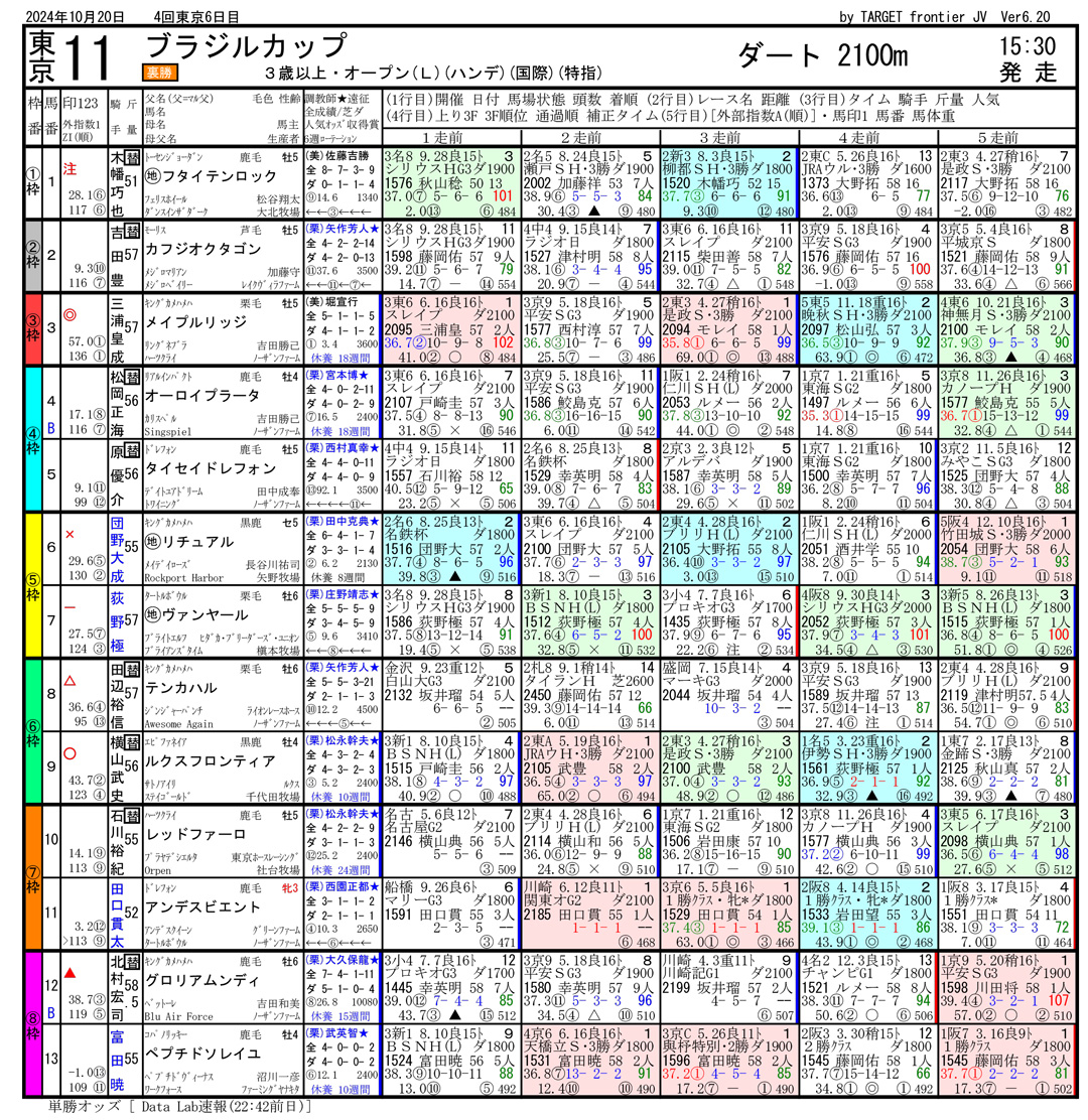 2024年10月20日開催 東京11R ブラジルカップ 電脳競馬新聞 3連単125,200円馬券的中