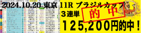 2024年10月20日 東京11R ブラジルカップ 電脳競馬新聞 3連単125,200円的中!!