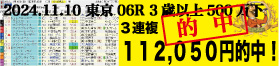 2024年11月10日-東京06R-3歳以上500万下-電脳競馬新聞-3連複112,050円的中!!バナー